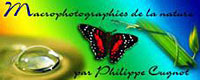 La bannière du site de Philippe Cugnot