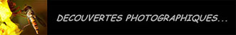La bannière du site de Eric Delhommeau