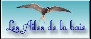 La bannière du site de Jean-Pierre Saliou