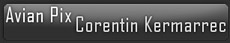 La bannière du site de Kermarrec Corentin