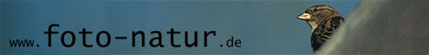 La bannière du site de Sascha Rosner