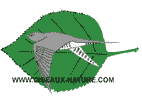 La bannière du site de Hervé Michel