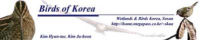 La bannière du site de Kim Hyun-Tae